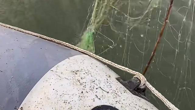 #户外捕鱼大队 #捕鱼河边随拍 #捕捞现场  #丝网捕鱼