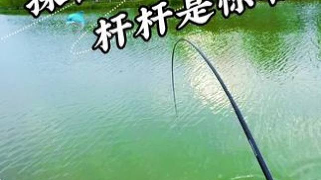 小河草边杆杆是惊喜 #钓鱼#野钓#野河野钓#老坛甜薯  #爆有料