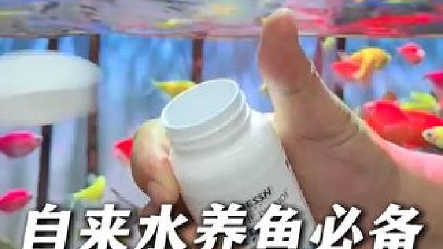 自来水的氯气对鱼儿有刺激作用，所以不能直接倒入鱼缸。 鱼乐宝可以去除氯气，保护鱼儿和硝化细菌。#养鱼