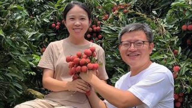 桂味荔枝熟了 #桂味荔枝