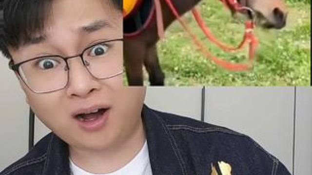 有点爱心，但不多 #奇葩 #不当人系列