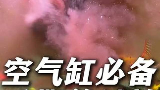 空气缸必备手撕羊绒棉！整整一大包不用反复冲洗，脏了直接扔！ #鱼缸过滤棉  #羊绒棉  #手撕羊绒棉