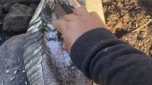 大补美食 #我的乡村生活 #原创视频 #农村美食记录生活 #记录生活