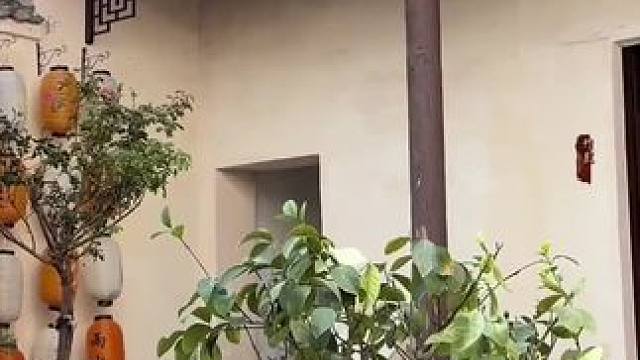 农校街云上扶摇古风民宿，距洛邑古城932米。环境好、设施全、能畅享影音。469元可住雅致双床房，免费