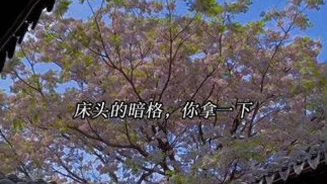 发明古代abo的真是个天才！ #配音 #abo