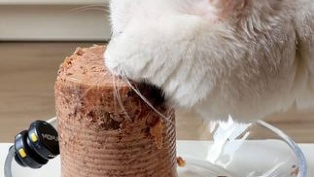 白面馒头正在攻击你的罐头 老奶奶雪境鸡肉 挑食猫需要叠几遍浇头吃 不挑食可冲
#猫啃罐头 #猫咪吃饭