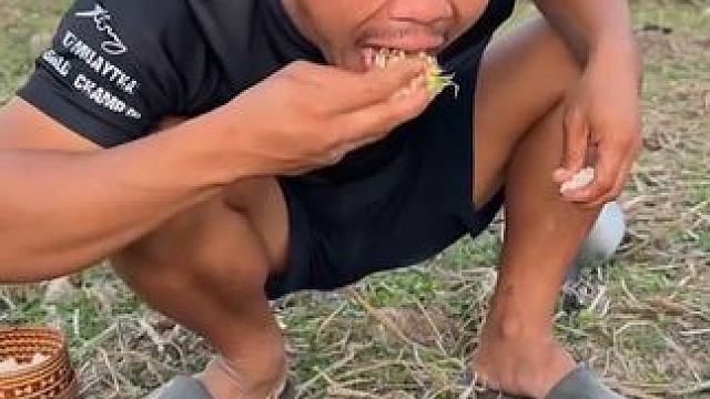 新鲜绿化带酸辣凉拌️蚂蚁蛋 #美食 #户外美食 #泰国美食 #内容启发搜索