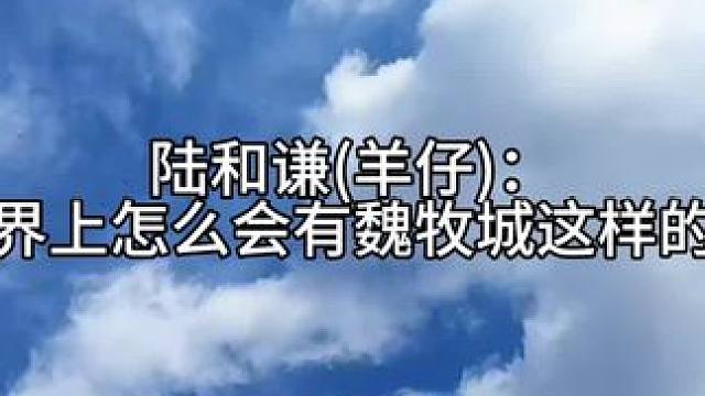 #凌飞羊仔 #木偶综合症 #广播剧 嫚播厅