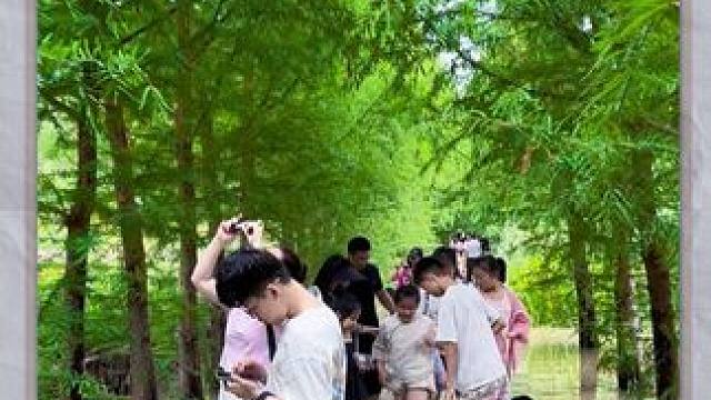 东风渠 #夏天该有的样子 #原创视频 #天然氧吧 #初夏的味道 #河南刚哥