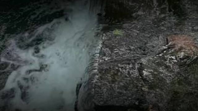 山青水秀好地方 #天然氧吧 #远离城市的喧嚣