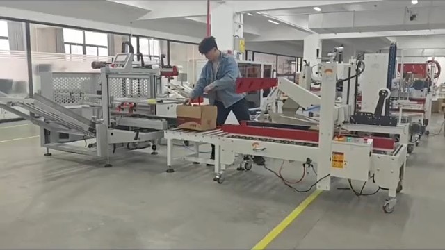 食品厂用的封箱机#食品纸箱封箱机 #智能码垛