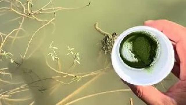 这还好没有翻车#钓鱼 #钓鱼人就是这么疯狂 #钓鱼的乐趣只有钓鱼人懂 #钓鱼技巧 #钓鱼那些事