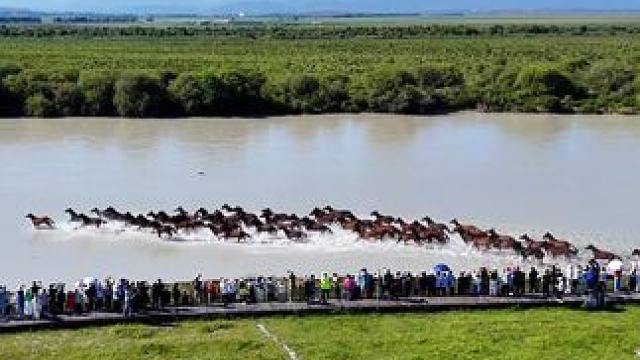 带你看一场一镜到底的天马浴河表演！ #昭苏#天马浴河表演#伊犁有多好玩