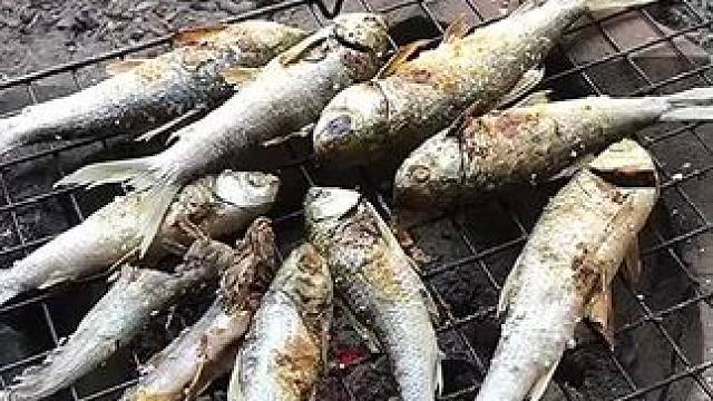 海边️烤鱼 #美食 #泰国美食 #户外美食 #内容启发搜索