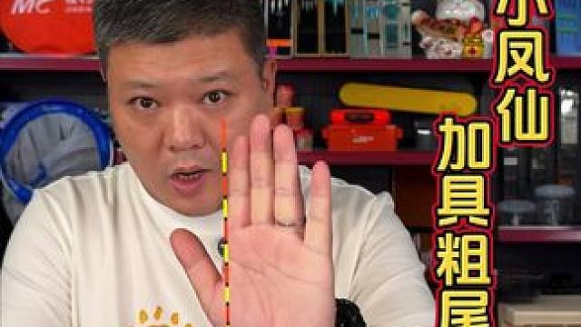 小凤仙加粗尾浮漂 长竿钓鱼看不清漂相？那是你还没用好过这款小凤仙加粗尾浮漂。#加粗尾浮漂 #浮漂加粗