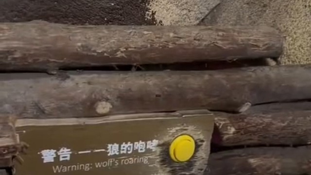 坏了 让你听到真的了