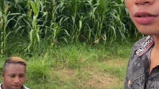 哈哈小土狗 #我的乡村生活 #原创视频 #日常生活 #农业种植