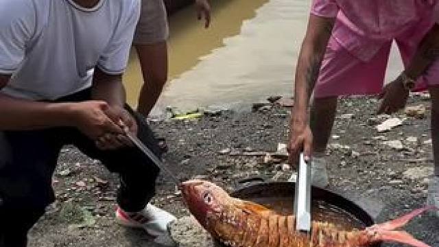 农村美食记录生活~