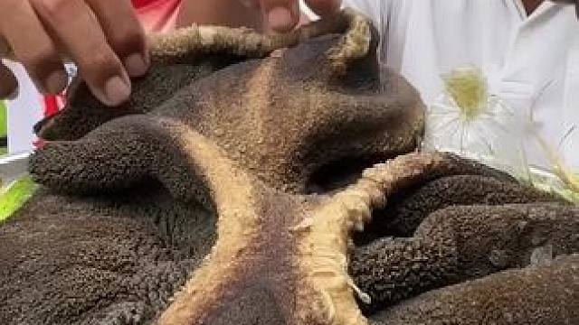 我发布了一个新视频，快来围观吧！