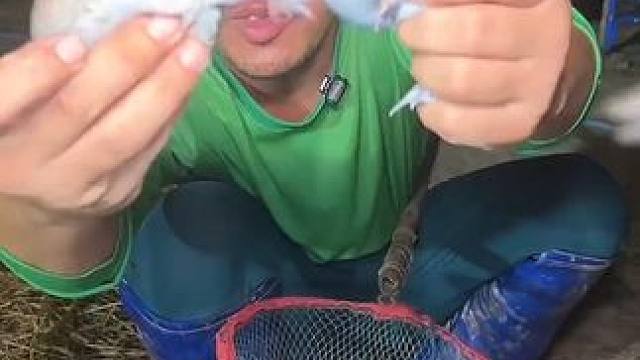 骑摩托️抓蛋蛋蛙 #户外美食 #美食 #泰国美食 #内容启发搜索