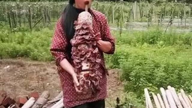 山卡卡里的农村大姐学费了开直播每天收获满满满您还在恐播怕播不敢开播开播了不知说什么吗#记录真实生活 