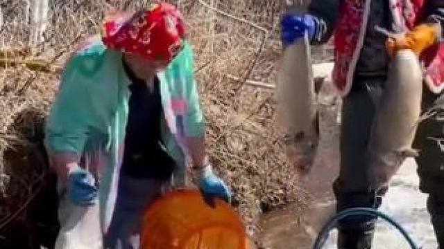 #三农 #户外抓鱼