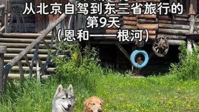 2人带5狗从北京自驾到东三省的旅行的第九天 路边的风景也是超美的！
这条修到凌晨两点，修不动了，没有