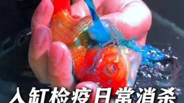 不管是新鱼入缸还是水霉白点，都可以用亚甲基蓝做日常预防和消杀 每周一次，每次一瓶盖，直接加或者稀释后