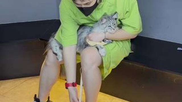 今日份快乐来自小猫咪⁾⁾#家有萌宠 #晴明的世界
