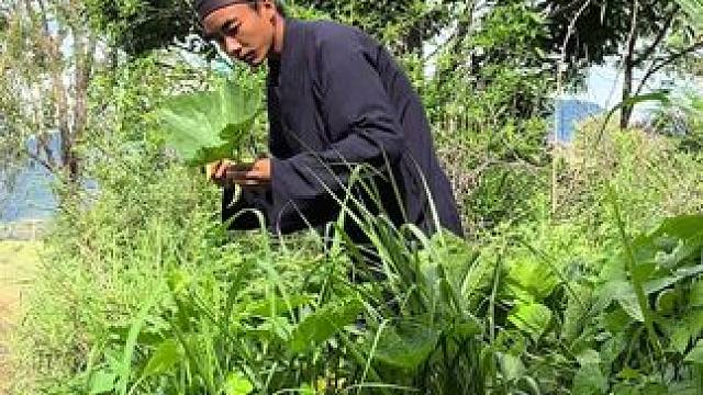 豆角这个鲜，猫儿也馋