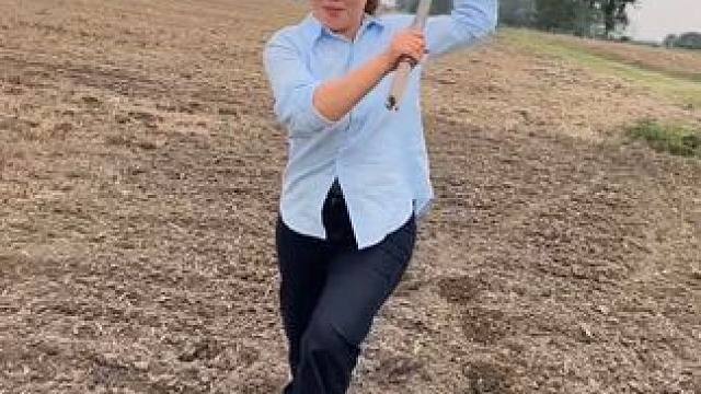 这玉米种的太可怕了  ！