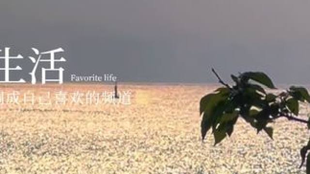 绝了！人均60就能拥有的神仙露营地，不允许你不知道 #露营 #露营烤肉 #黄岛西海岸