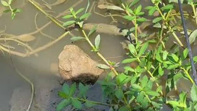 来吧，展示绝活了#钓鱼人就是这么疯狂 #钓鱼的乐趣只有钓鱼人懂 #钓鱼 #钓鱼技巧 #钓鱼那些事