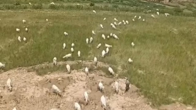 记录养殖人的真实生活