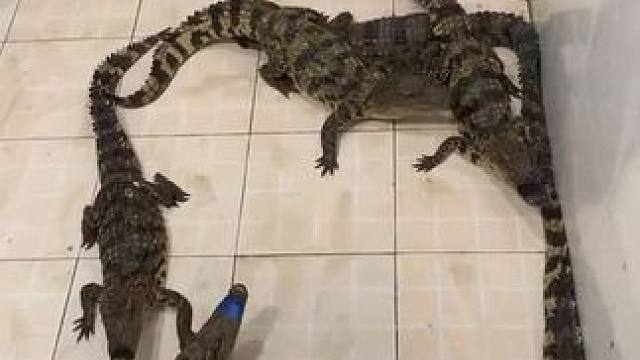 #等风来 别等了，Ta的心里容不下你