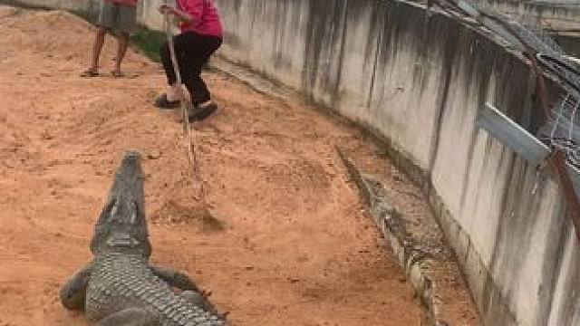 福无双至 祸不单行#危险动作请勿模仿