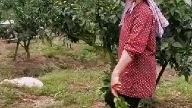 山卡卡里的农村大姐学费了开直播每天收获满满您还在恐播怕播不敢开播开播了不知说什么吗#记录真实生活 #