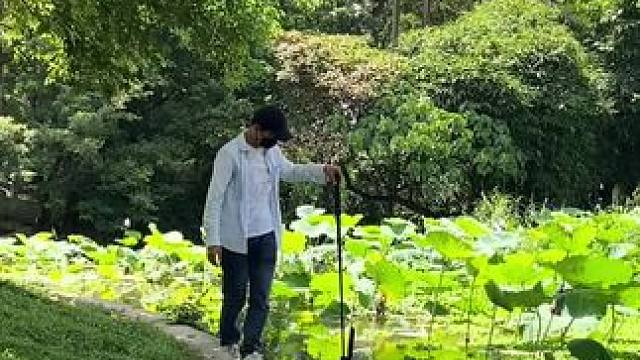 教你一招荷塘拍摄小技巧，画质稳定，简单高清又唯美！你也试试吧~#手机摄影 #拍摄技巧 #荷塘美景 #