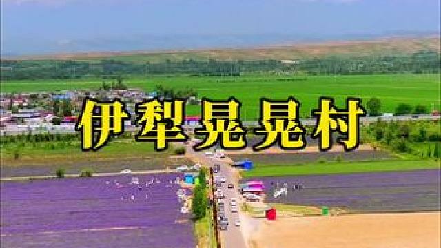 某天离开这座城我去哪你都得跟 #伊犁 #在这遇见紫色花海 #薰衣草 #浪漫花海 #风景如画的地方