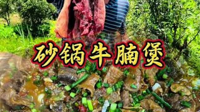 ️ “广式砂锅牛腩煲！柱候酱香浓，腐竹吸汁，一口回到老街 #地方特色美食 #乡村味道 #舌尖上的味道