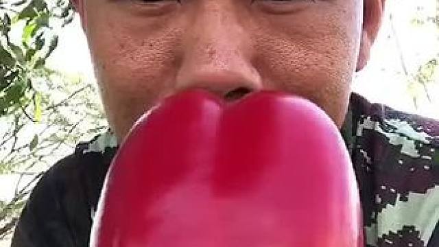 刚摘的大甜椒 #户外美食 #泰国美食 #美食 #内容启发搜索