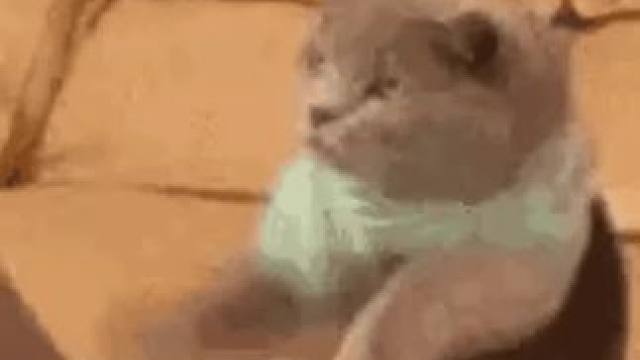 疑似打工人上班上疯了的幻想#旅游#美景#旅行 #娱乐评论大赏