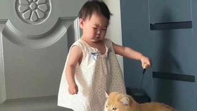 当妈妈喊宝宝过来时，猫咪拉着宝宝径直走过来，猫：走，你妈妈叫你！