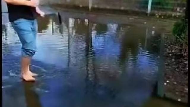 我发布了一个新视频，快来围观吧！