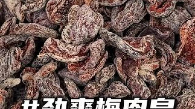 一口尝尽潮汕风味，果肉酸甜，冰冰凉凉交织，糯叽叽又有嚼劲！#零食推荐#果干推荐#梅肉皇
