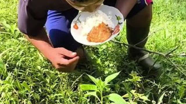 东南亚野菜哥 #我的乡村生活 #原创视频 #日常生活 #农村美食记录生活