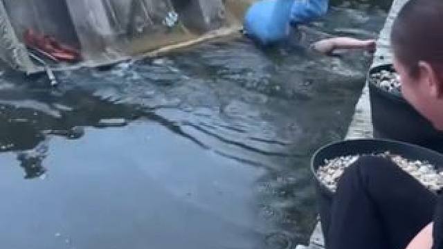 我发布了一个新视频，快来围观吧！