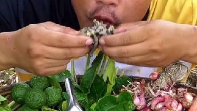 咖喱炖满籽蛋蛋蛙 #美食 #户外美食 #泰国美食 #内容启发搜索