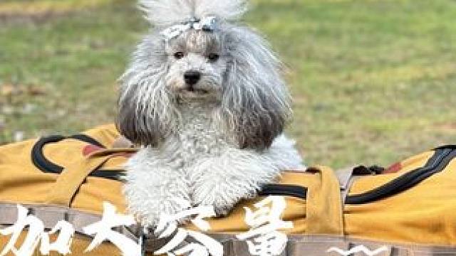 加大容量收纳包 户外露营自驾旅行，东西多凌乱不好收，这个加大容量收纳包适合你，轻松收纳所有装备#户外