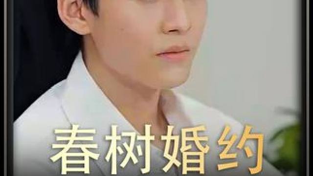 #春树婚约 #热播剧